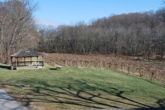 The Gazebo and Vineyard as Seen from the Deck